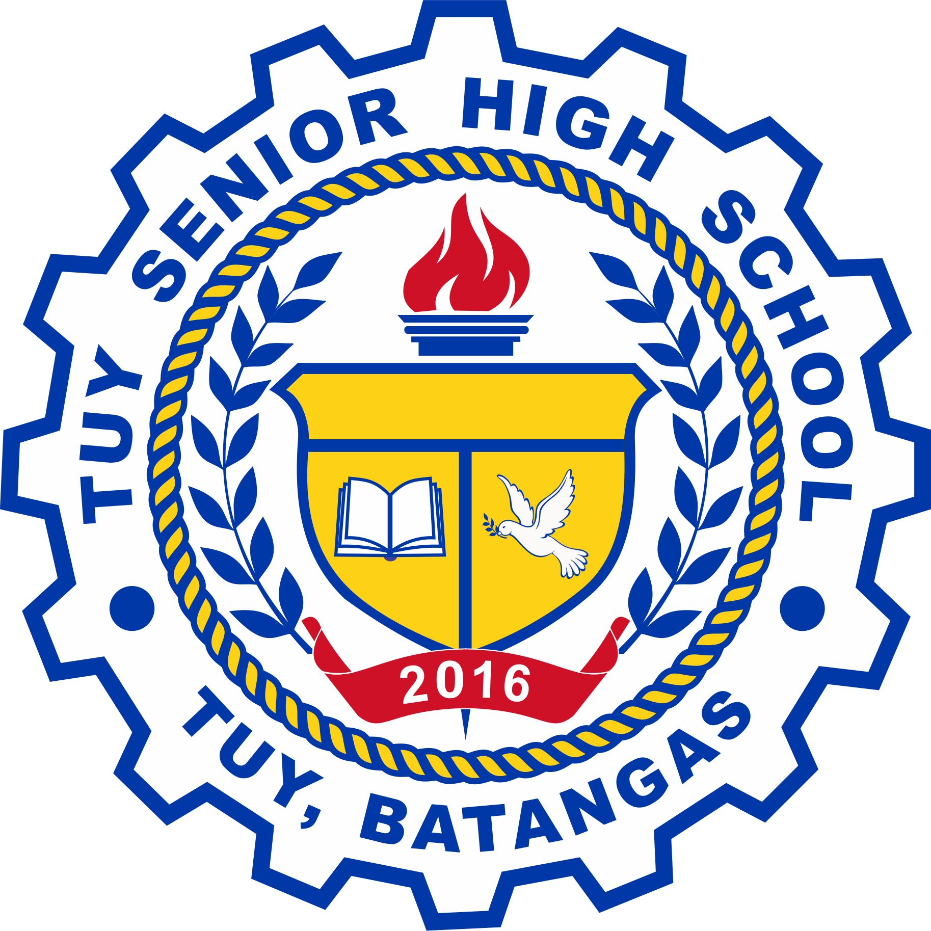 TUY SHS Logo